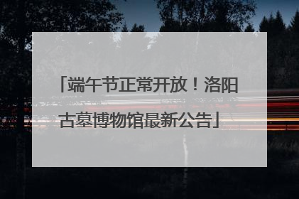 端午节正常开放！洛阳古墓博物馆最新公告