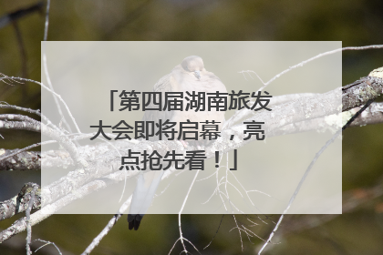 第四届湖南旅发大会即将启幕，亮点抢先看！