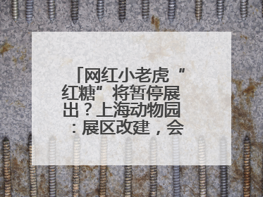 网红小老虎“红糖”将暂停展出？上海动物园：展区改建，会安排展出计划