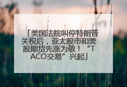 美国法院叫停特朗普关税后，亚太股市和美股期货先涨为敬！“TACO交易”兴起