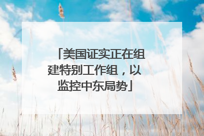 美国证实正在组建特别工作组，以监控中东局势