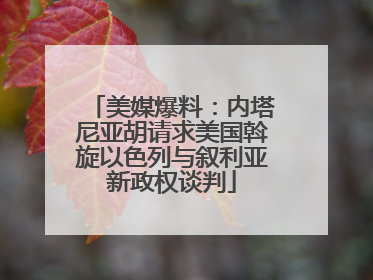 美媒爆料：内塔尼亚胡请求美国斡旋以色列与叙利亚新政权谈判