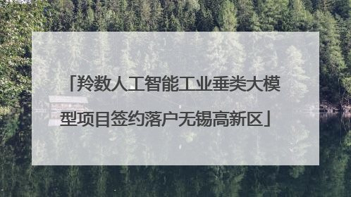 羚数人工智能工业垂类大模型项目签约落户无锡高新区