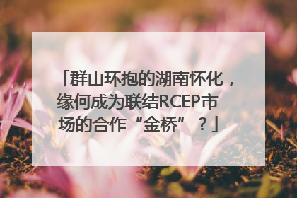 群山环抱的湖南怀化，缘何成为联结RCEP市场的合作“金桥”？