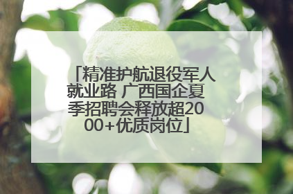 精准护航退役军人就业路 广西国企夏季招聘会释放超2000+优质岗位