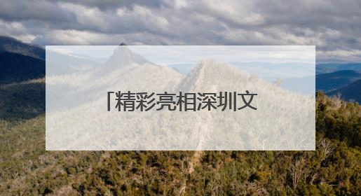 精彩亮相深圳文博会！聊城东昌府区“小葫芦”焕发数字新活力