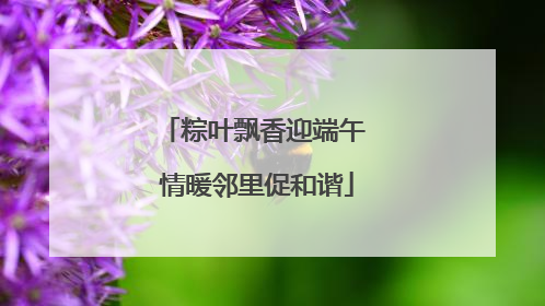 粽叶飘香迎端午 情暖邻里促和谐