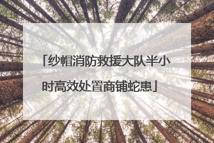 纱帽消防救援大队半小时高效处置商铺蛇患