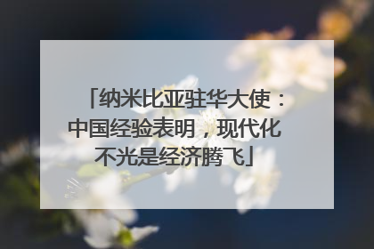 纳米比亚驻华大使：中国经验表明，现代化不光是经济腾飞