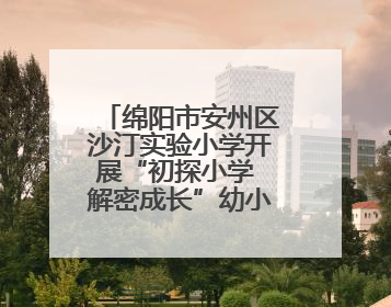 绵阳市安州区沙汀实验小学开展“初探小学 解密成长”幼小衔接活动