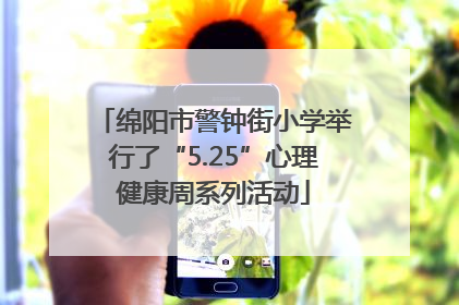 绵阳市警钟街小学举行了“5.25”心理健康周系列活动