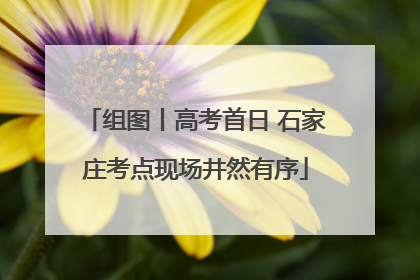 组图丨高考首日 石家庄考点现场井然有序