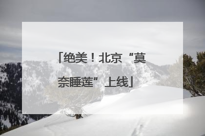 绝美！北京“莫奈睡莲”上线