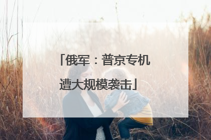 俄军：普京专机遭大规模袭击