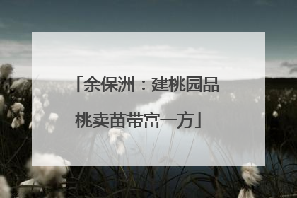 余保洲：建桃园品桃卖苗带富一方