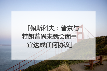 佩斯科夫：普京与特朗普尚未就会面事宜达成任何协议