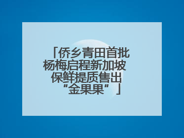 侨乡青田首批杨梅启程新加坡 保鲜提质售出“金果果”