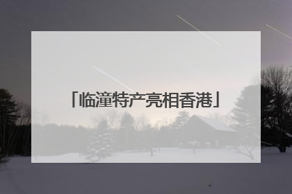 临潼特产亮相香港
