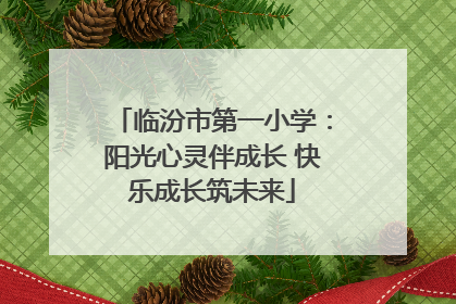 临汾市第一小学：阳光心灵伴成长 快乐成长筑未来