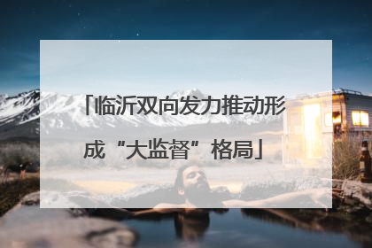 临沂双向发力推动形成“大监督”格局