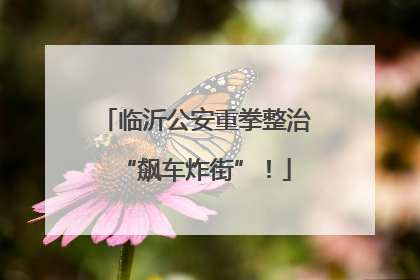 临沂公安重拳整治“飙车炸街”！