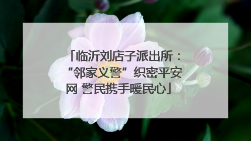 临沂刘店子派出所：“邻家义警”织密平安网 警民携手暖民心
