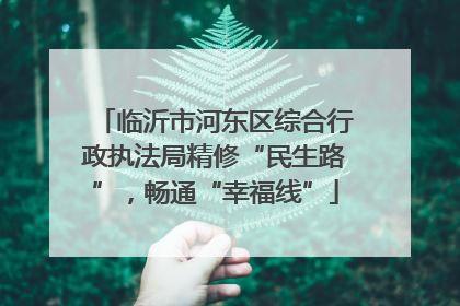 临沂市河东区综合行政执法局精修“民生路”，畅通“幸福线”