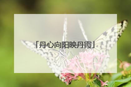 丹心向阳映丹霞