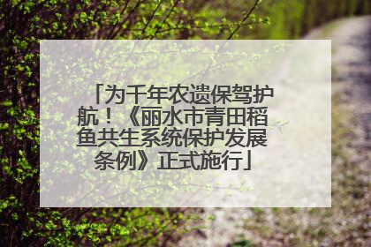为千年农遗保驾护航！《丽水市青田稻鱼共生系统保护发展条例》正式施行
