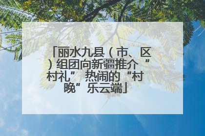 丽水九县（市、区）组团向新疆推介“村礼” 热闹的“村晚”乐云端