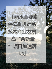 丽水全要素保障推进高新技术产业发展 高“含新量”项目加速落地