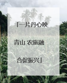 一片丹心映青山 农旅融合促振兴