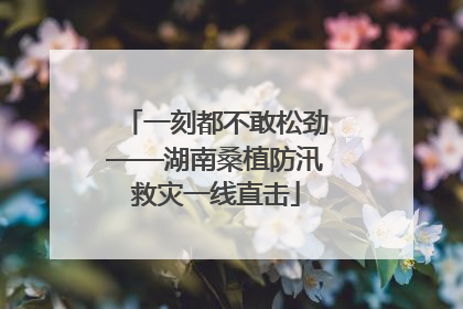 一刻都不敢松劲——湖南桑植防汛救灾一线直击