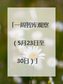 一周智库观察（5月23日至30日）