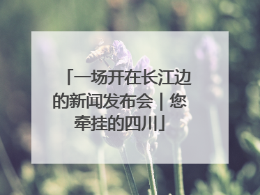 一场开在长江边的新闻发布会｜您牵挂的四川