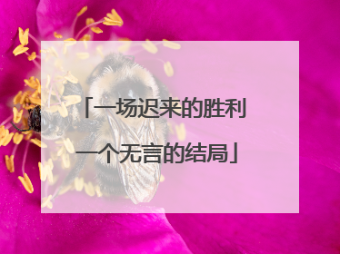 一场迟来的胜利 一个无言的结局