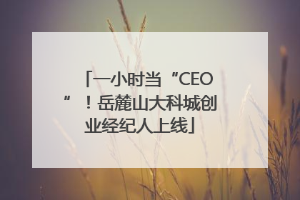一小时当“CEO”！岳麓山大科城创业经纪人上线