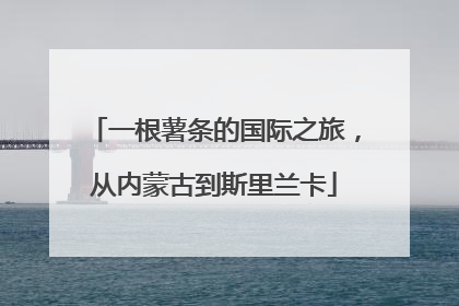 一根薯条的国际之旅，从内蒙古到斯里兰卡