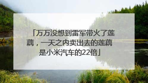 万万没想到雷军带火了莲藕，一天之内卖出去的莲藕是小米汽车的22倍