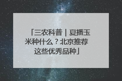 三农科普｜夏播玉米种什么？北京推荐这些优秀品种