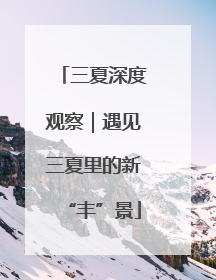 三夏深度观察｜遇见三夏里的新“丰”景