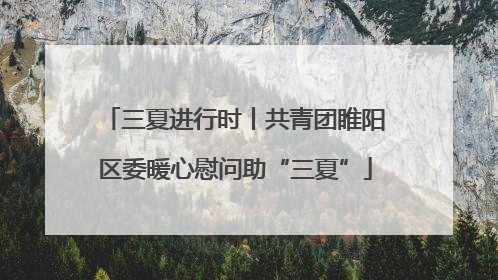 三夏进行时丨共青团睢阳区委暖心慰问助“三夏”