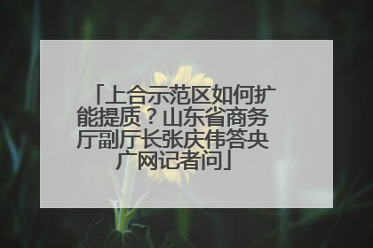 上合示范区如何扩能提质？山东省商务厅副厅长张庆伟答央广网记者问