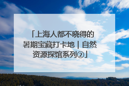 上海人都不晓得的 暑期宝藏打卡地｜自然资源探馆系列②