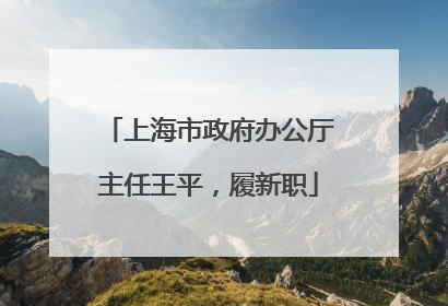 上海市政府办公厅主任王平，履新职