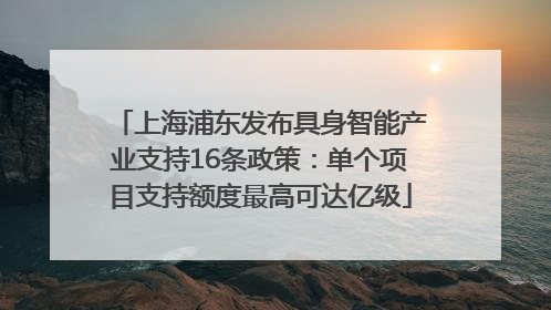 上海浦东发布具身智能产业支持16条政策：单个项目支持额度最高可达亿级