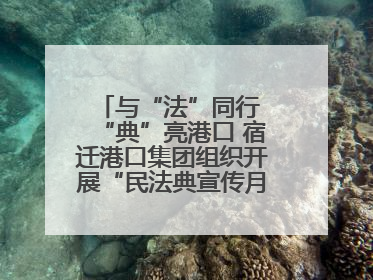 与“法”同行 “典”亮港口 宿迁港口集团组织开展“民法典宣传月”系列活动