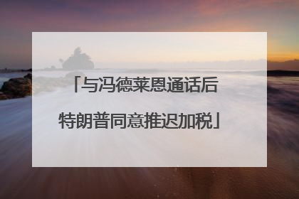 与冯德莱恩通话后 特朗普同意推迟加税