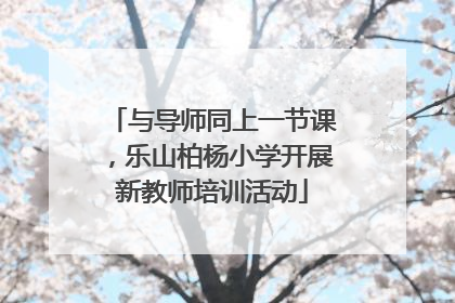 与导师同上一节课，乐山柏杨小学开展新教师培训活动