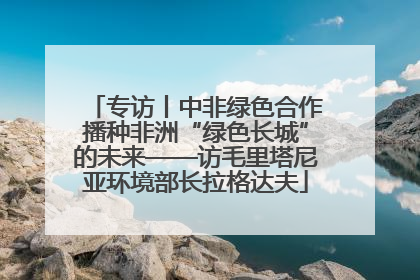 专访丨中非绿色合作播种非洲“绿色长城”的未来——访毛里塔尼亚环境部长拉格达夫